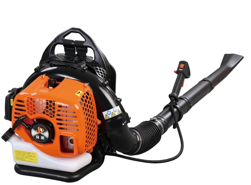 EB9900E Blower