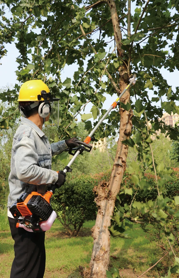 Pole pruning