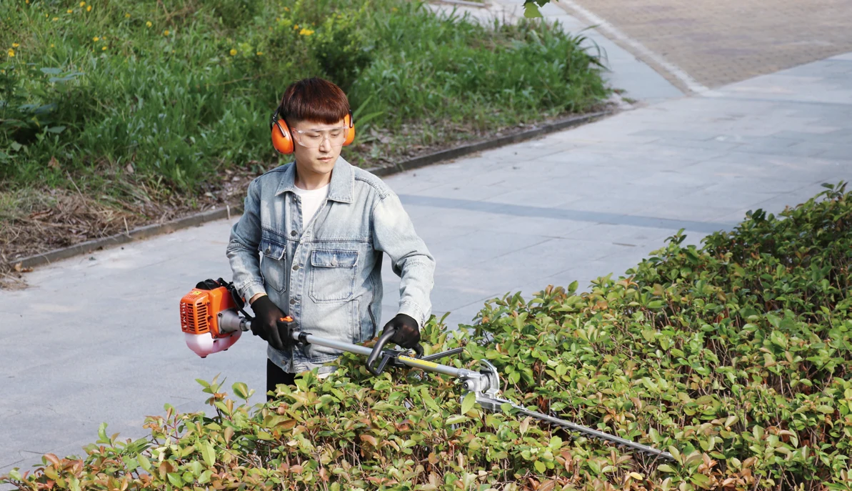 Pole hedge trimming