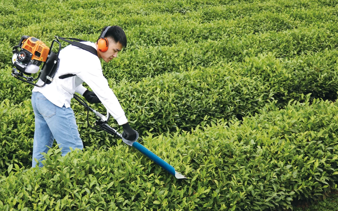 Backpack hedge trimmer application shown in the catalog