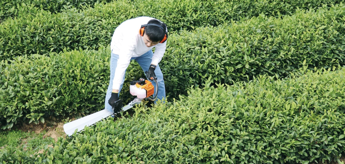 Hedge trimmer application shown in the catalog
