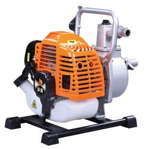 QGZ25-30-1E36F-2D Water pump